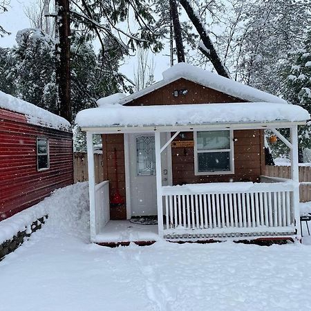 Acorn Cottage - Hidden Gem In Green Heaven, Getaway To Bass Lake & Yosemite Oakhurst Exteriör bild