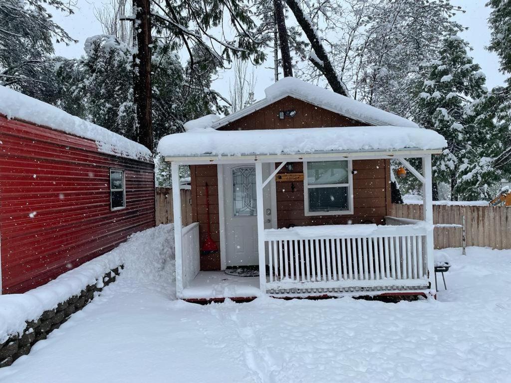 Acorn Cottage - Hidden Gem In Green Heaven, Getaway To Bass Lake & Yosemite Oakhurst Exteriör bild